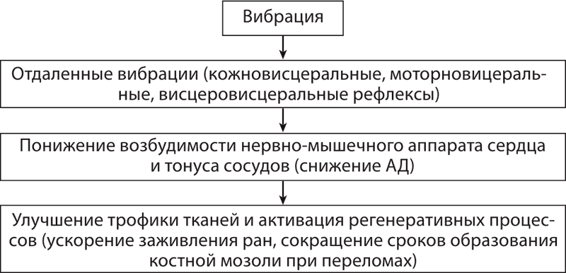 Атлас профессионального массажа - i_029.png