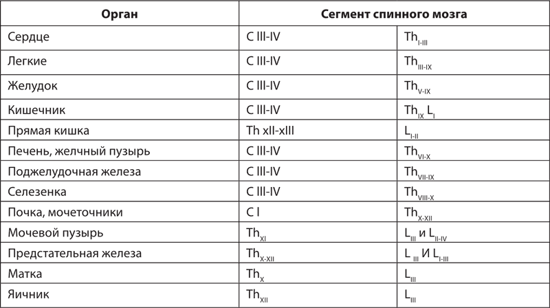 Атлас профессионального массажа - i_040.png