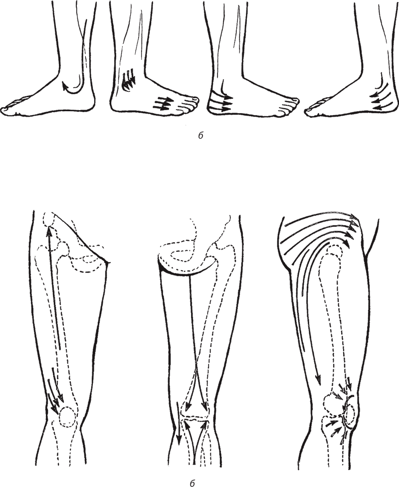 Атлас профессионального массажа - i_060.png