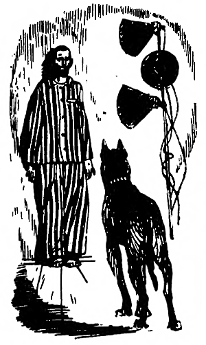 Дружище Тобик (сборник) - i_028.png