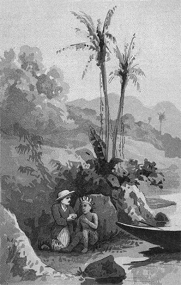 Зверобой (Художник Г. Брок) - i_008.jpg