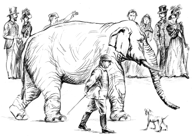 Белый пудель (сборник) - i_003.jpg