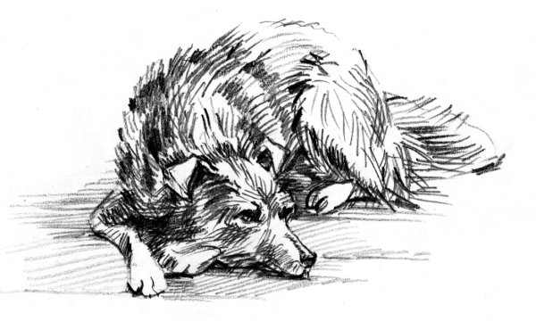 Белый пудель (сборник) - i_012.jpg