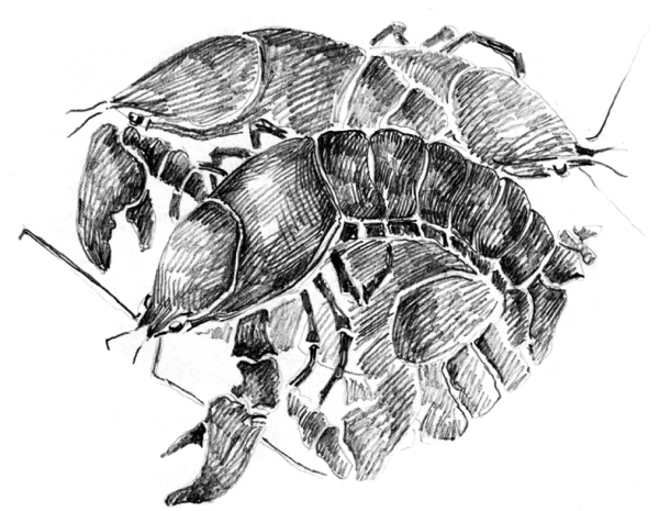 Белый пудель (сборник) - i_025.jpg