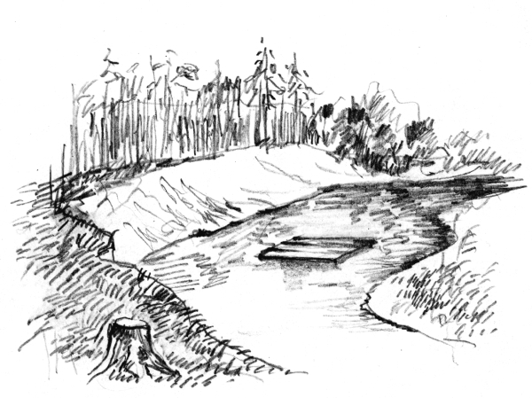 Белый пудель (сборник) - i_034.jpg