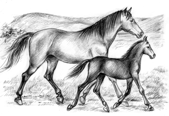 Белый пудель (сборник) - i_035.jpg