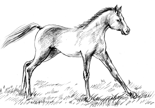 Белый пудель (сборник) - i_037.jpg