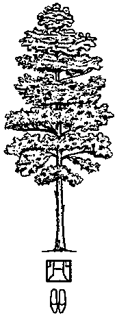 Тайные рецепты парциальной магии - i_015.png