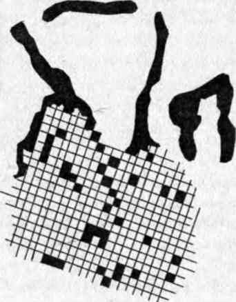 Тайные рецепты парциальной магии - i_026.jpg