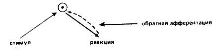 Естествознание, философия и науки о человеческом поведении в Советском Союзе - i_011.jpg