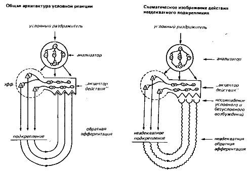 Естествознание, философия и науки о человеческом поведении в Советском Союзе - i_015.jpg