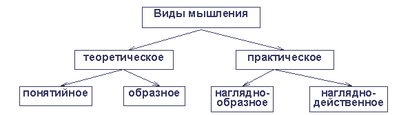 Общая психология - image6.png