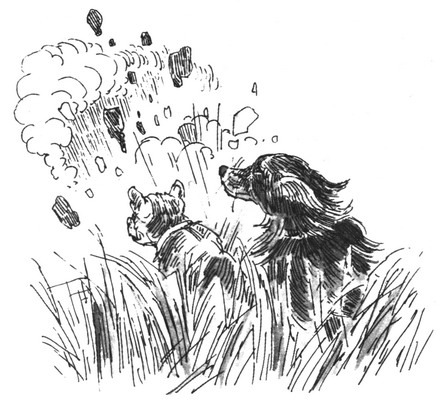 Пустой город - pic149.jpg