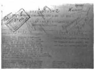 Сергей Есенин. Казнь после убийства - _24.jpg