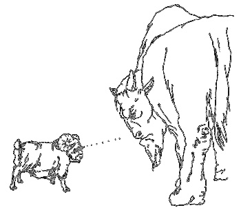 Школа лентяев, или Тибетская оздоровительная гимнастика для внутренних органов - i_012.png