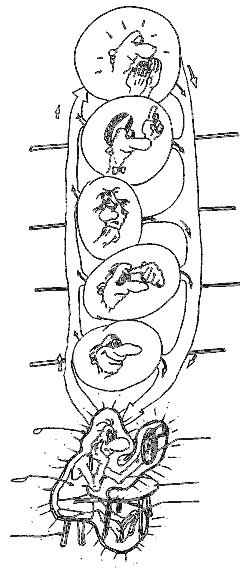 Школа лентяев, или Тибетская оздоровительная гимнастика для внутренних органов - i_014.png