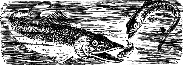 Рассказы - i_007.jpg