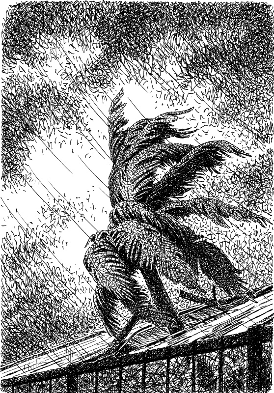 Рассказы - i_011.jpg