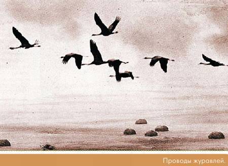 Окно в природу - _86.jpg_0