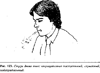 Язык телодвижений. Как читать мысли окружающих по их жестам - any2fbimgloader102.png