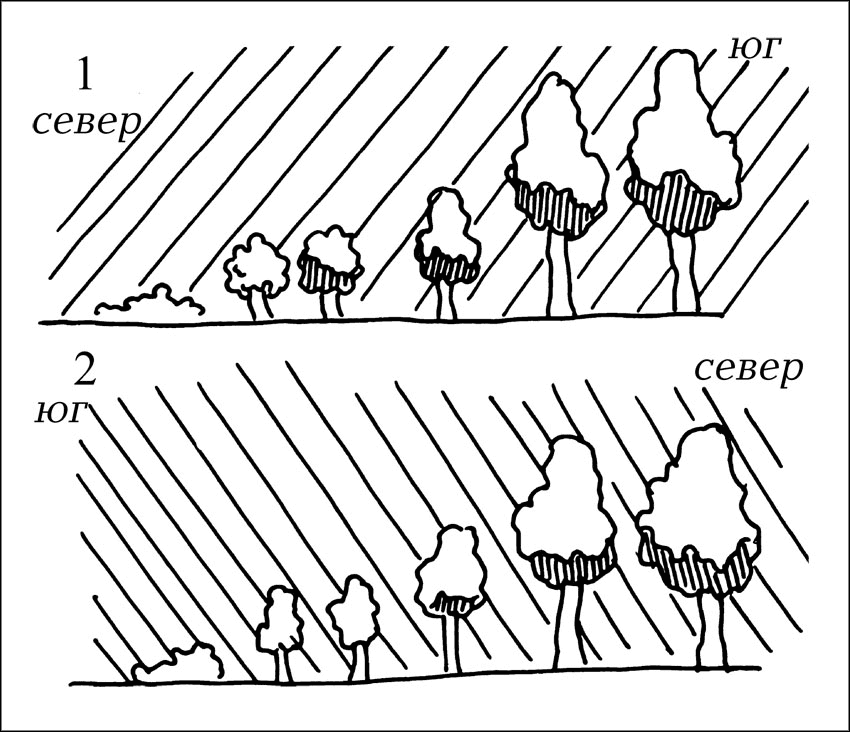 Чудо-урожай. Большая энциклопедия сада и огорода - r7.png