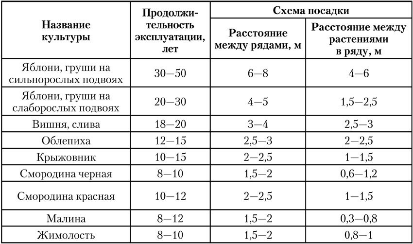 Чудо-урожай. Большая энциклопедия сада и огорода - tab02.jpg