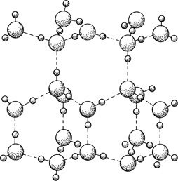 О чем Эйнштейн рассказал своему повару - i_008.jpg