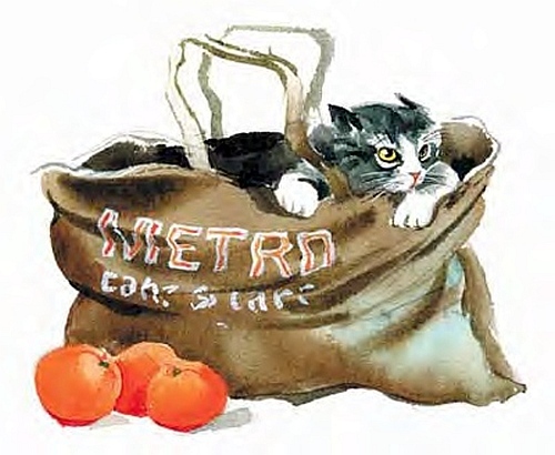 Сибирский валенок - i_007.jpg