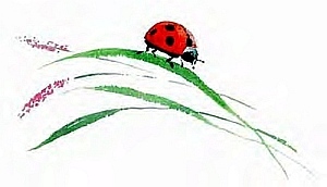 Сибирский валенок - i_011.jpg