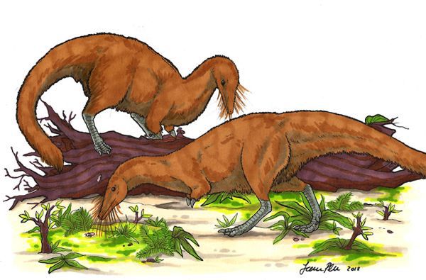 Все Ваши минувшие дни (ЛП) - _45.jpg