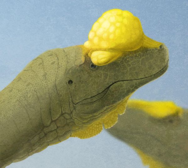 Все Ваши минувшие дни (ЛП) - _46.jpg