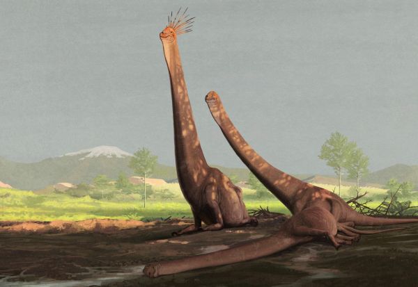 Все Ваши минувшие дни (ЛП) - _47.jpg