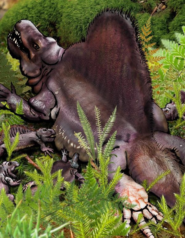 Все Ваши минувшие дни (ЛП) - _71.jpg