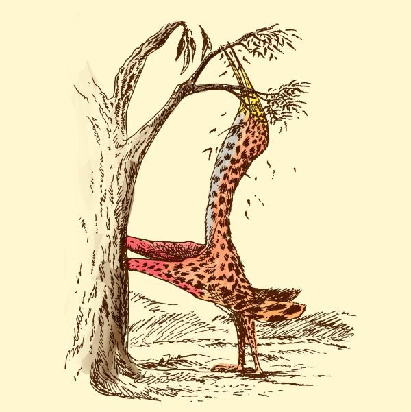 Все Ваши минувшие дни (ЛП) - _44.jpg