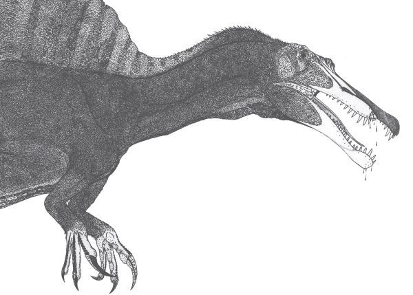 Все Ваши минувшие дни (ЛП) - _74.jpg