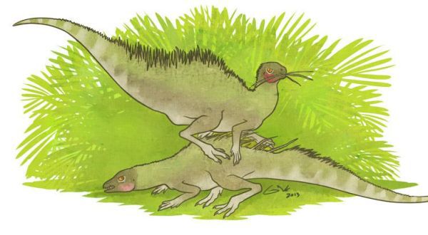 Все Ваши минувшие дни (ЛП) - _76.jpg