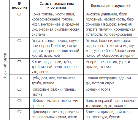 3 лучшие системы от боли в спине - i_004.png