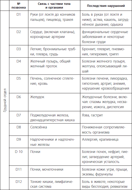 3 лучшие системы от боли в спине - i_005.png