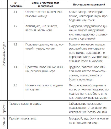 3 лучшие системы от боли в спине - i_006.png