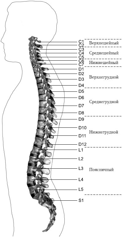 Лечебные позы-движения А. Б. Сителя - i_003.png