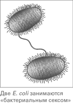 Микрокосм: E. coli и новая наука о жизни - i_004.png