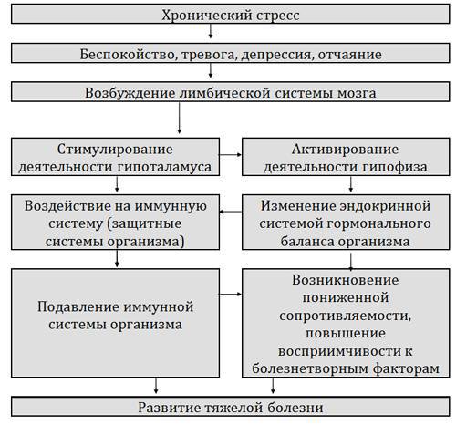 Возвращение к здоровью или как вылечить свое тело и душу без врачей и лекарств. Руководство по основам исцеления - _6.jpg