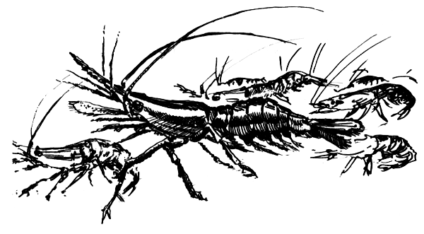 ВьЮжная Америка - i_050.png