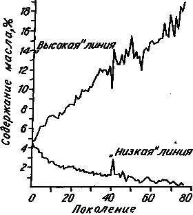 Эволюция и прогресс - i_033.png