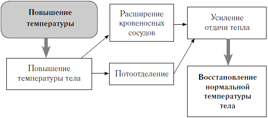 Как оставаться молодым и жить долго - i_002.png