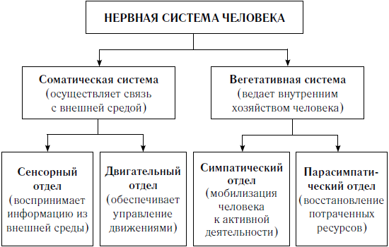 Как оставаться молодым и жить долго - i_006.png