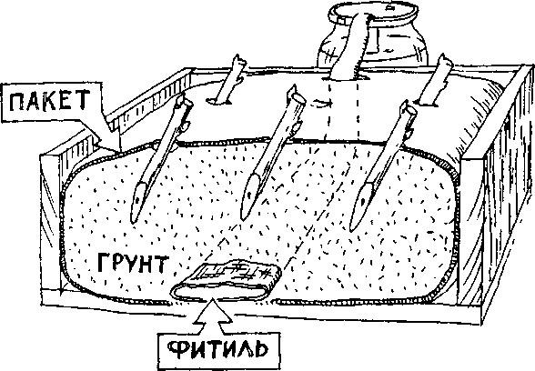Умный сад в подробностях - _2.jpg