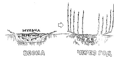 Умный сад в подробностях - _78.jpg