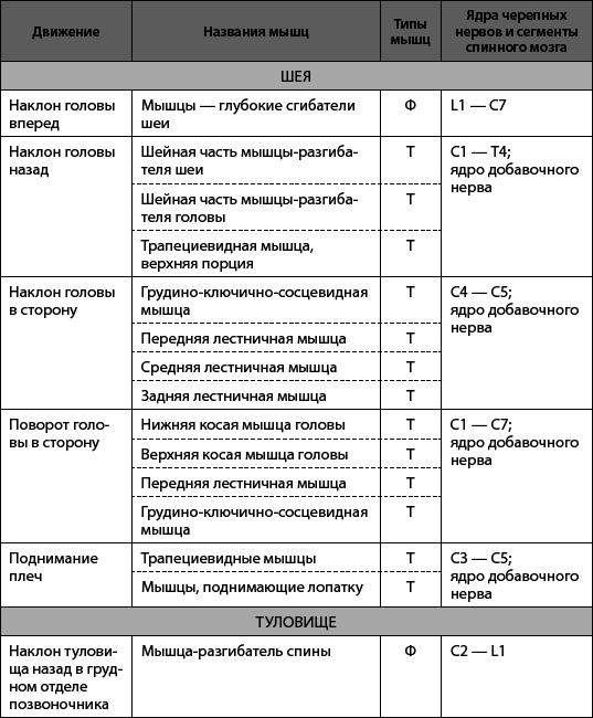 Скульптурная гимнастика для мышц, суставов и внутренних органов - _02.png