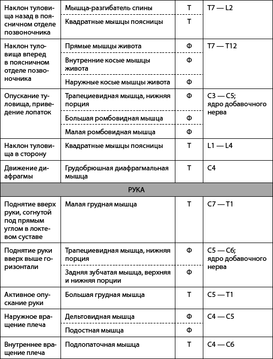 Скульптурная гимнастика для мышц, суставов и внутренних органов - _03.png